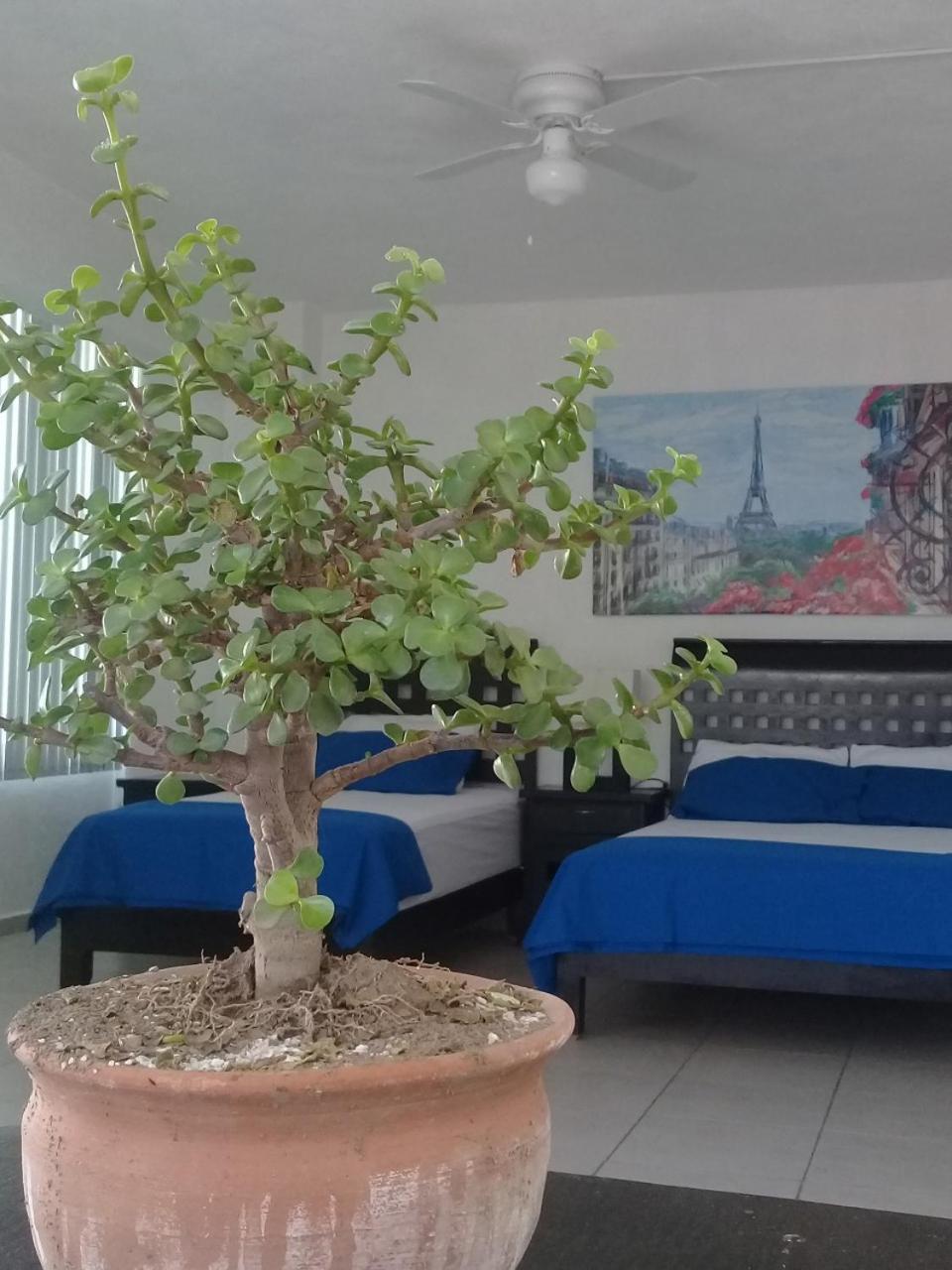Posada San Cristobal Cuernavaca Zewnętrze zdjęcie